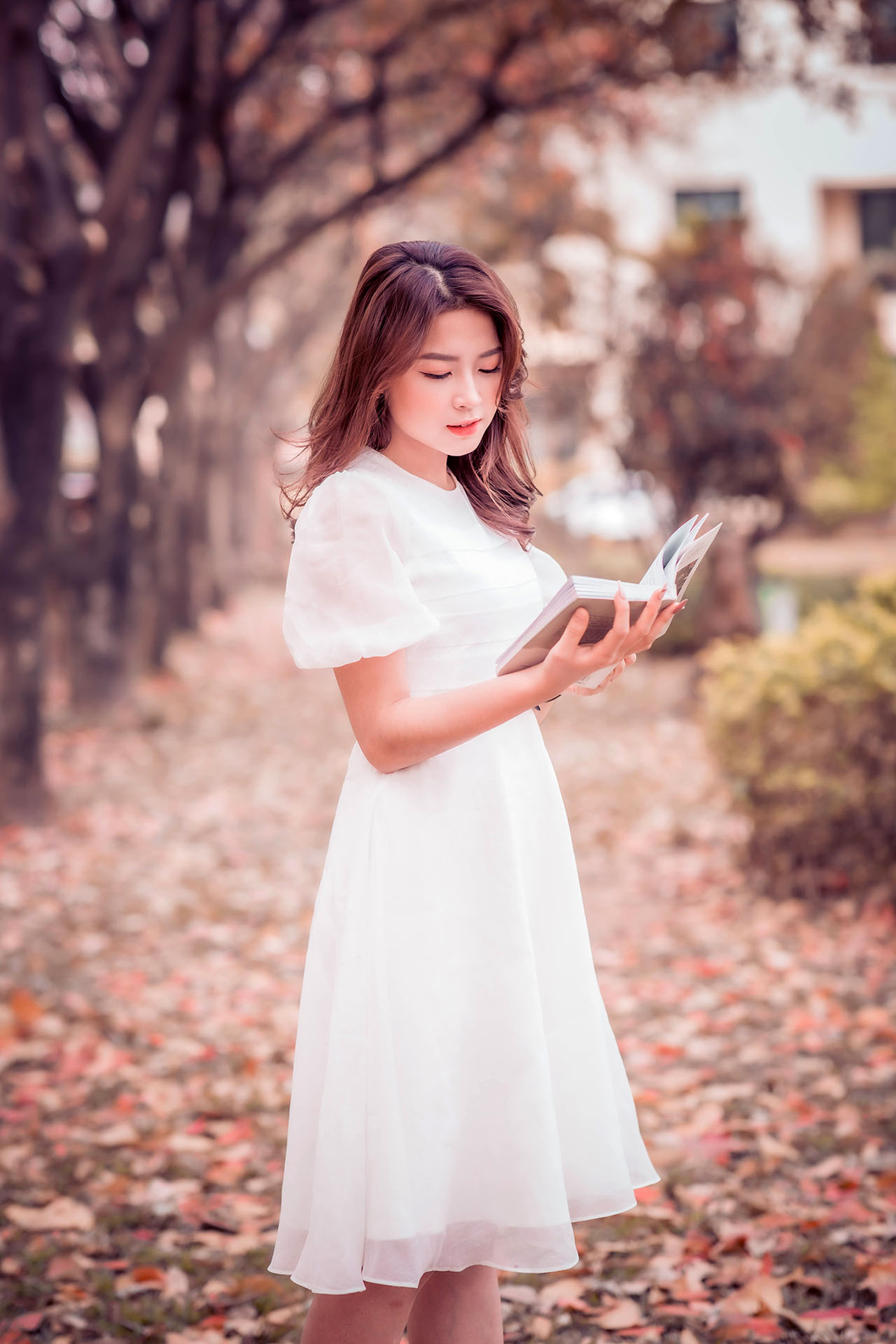 thiếu nữ trên con đường tình yêu