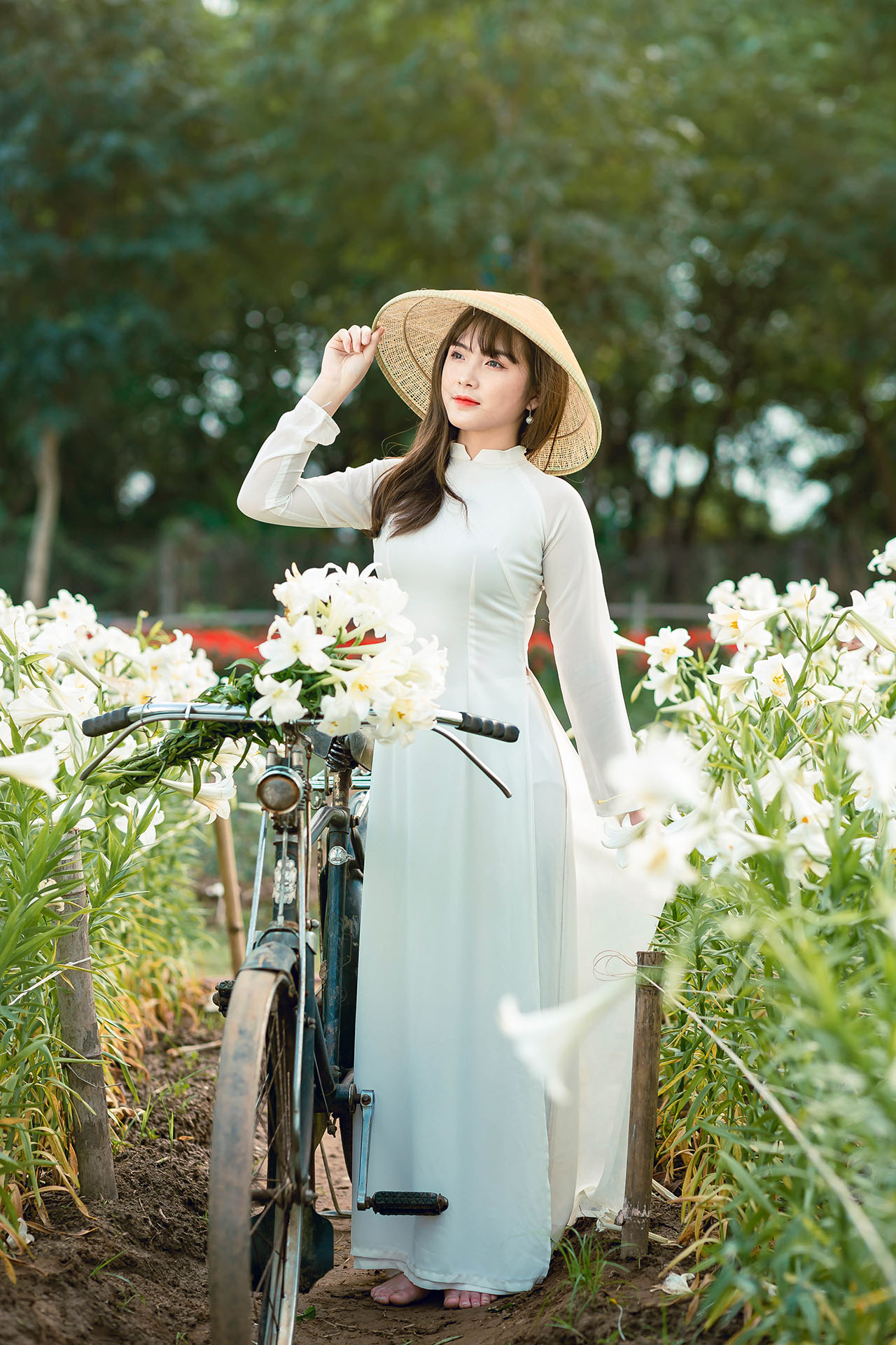 thiếu nữ bên hoa loa kèn