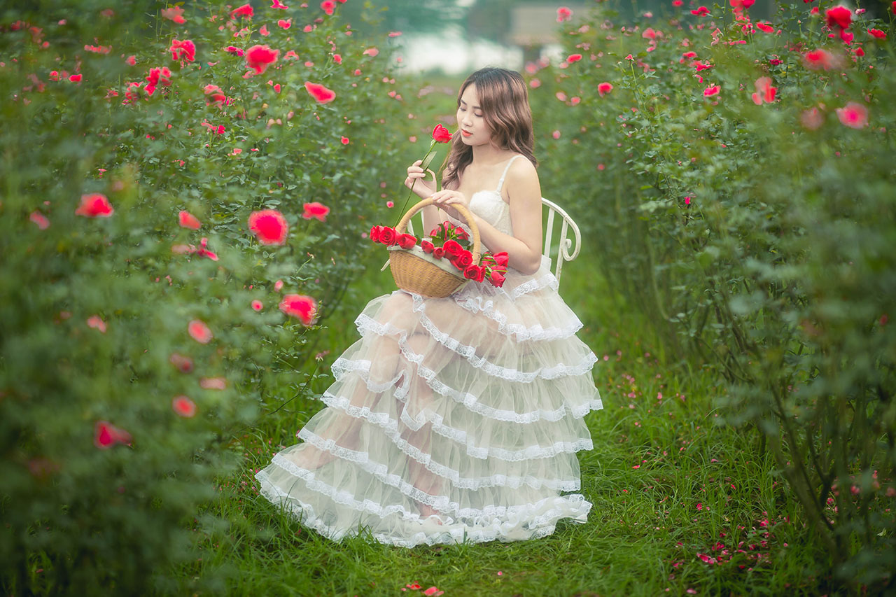 thiếu nữ giũa vườn hoa