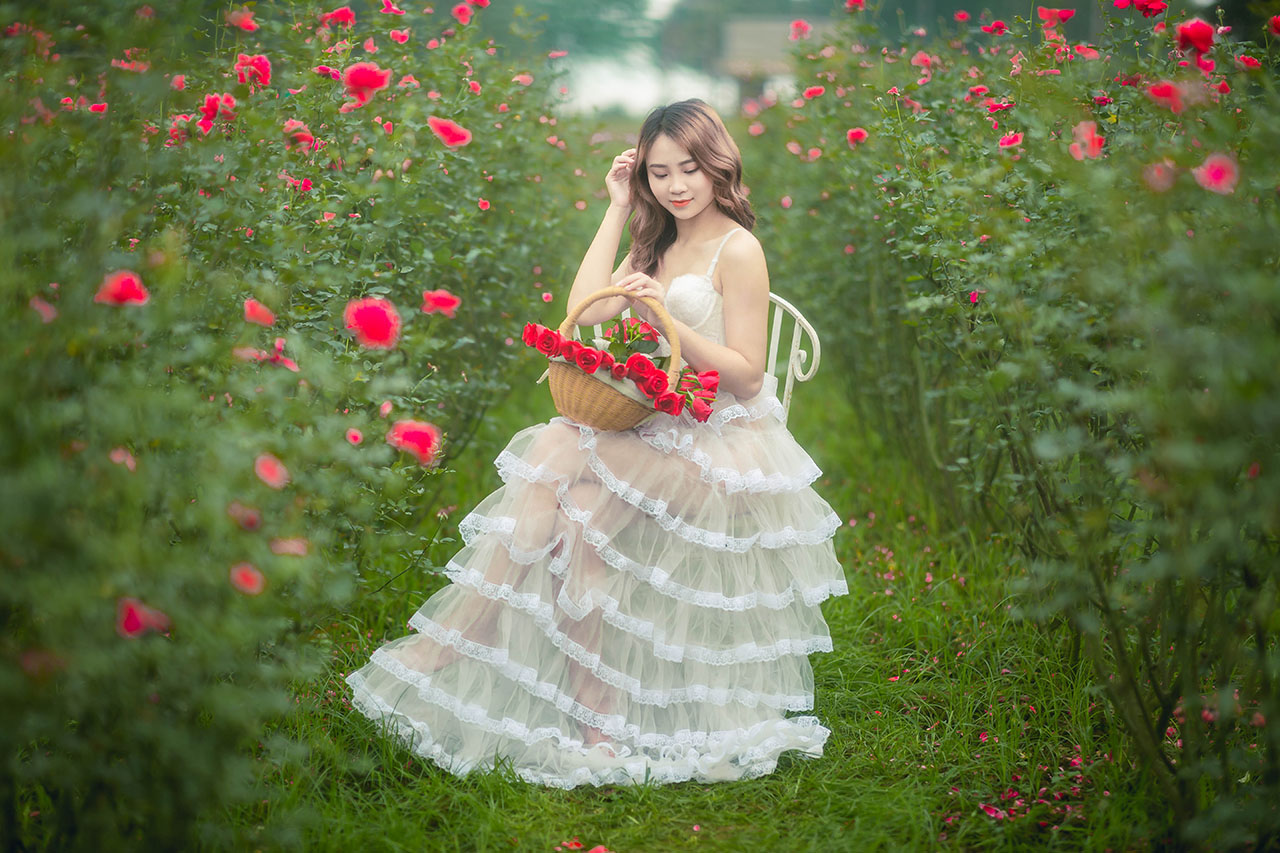 thiếu nữ giũa vườn hoa