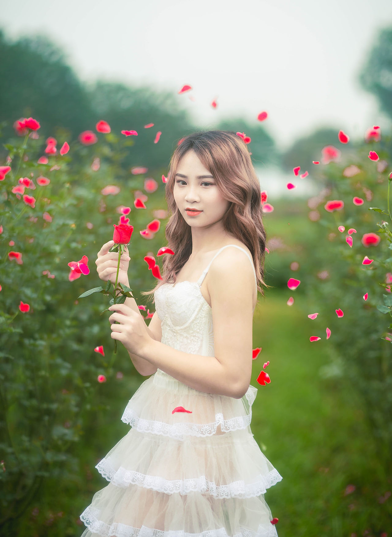 thiếu nữ giũa vườn hoa