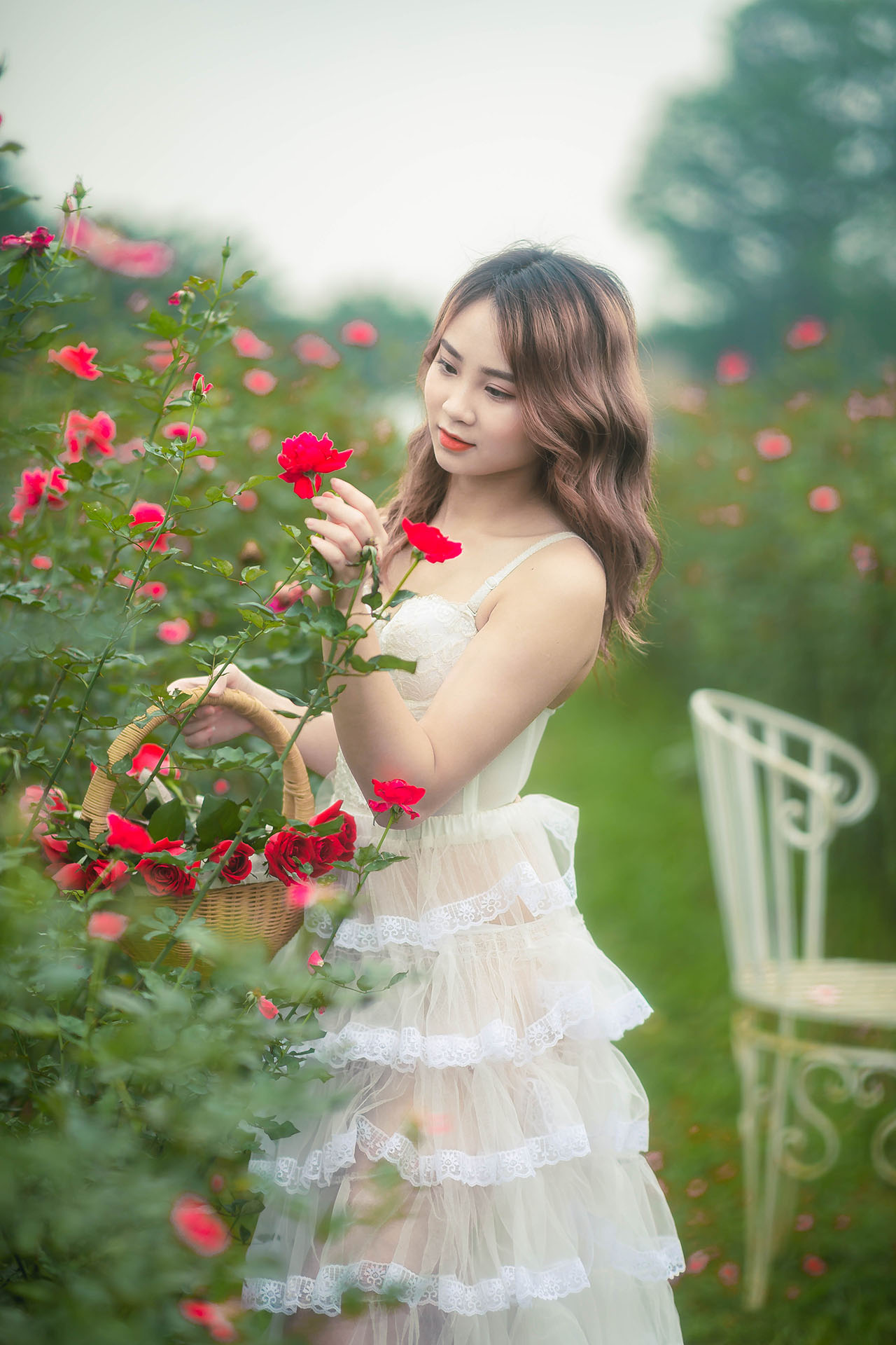 thiếu nữ giũa vườn hoa