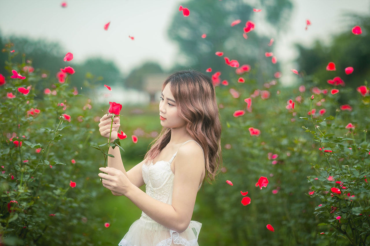 thiếu nữ giũa vườn hoa