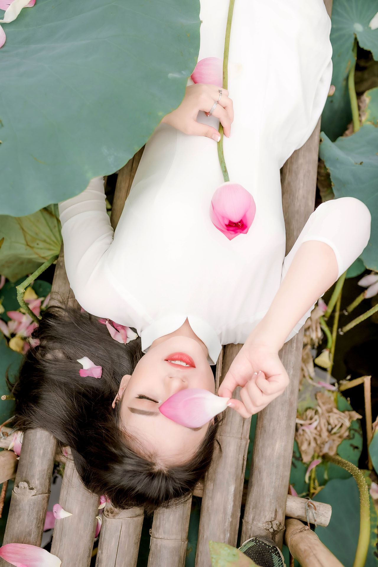 Người đẹp và sen
