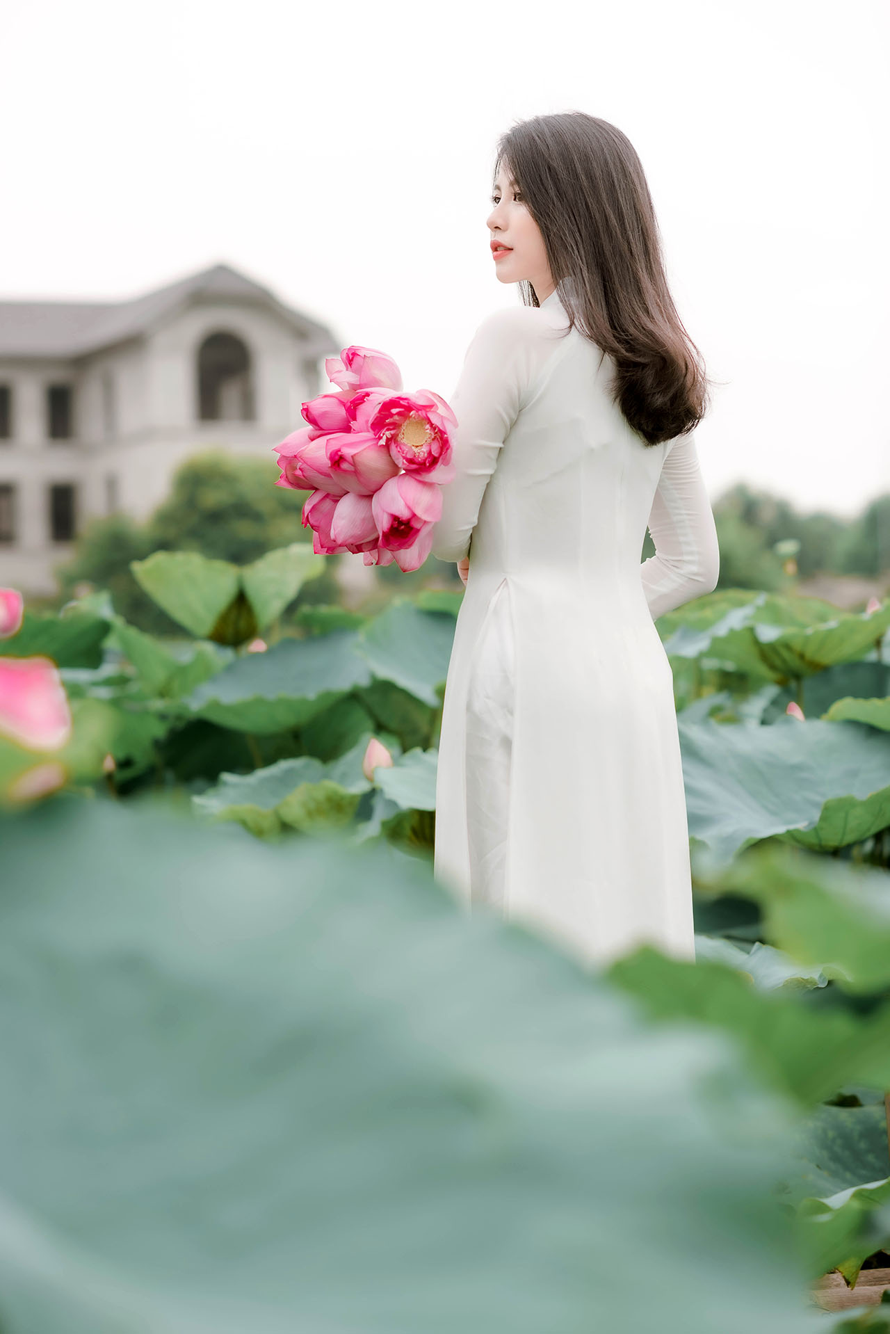 Người đẹp và sen