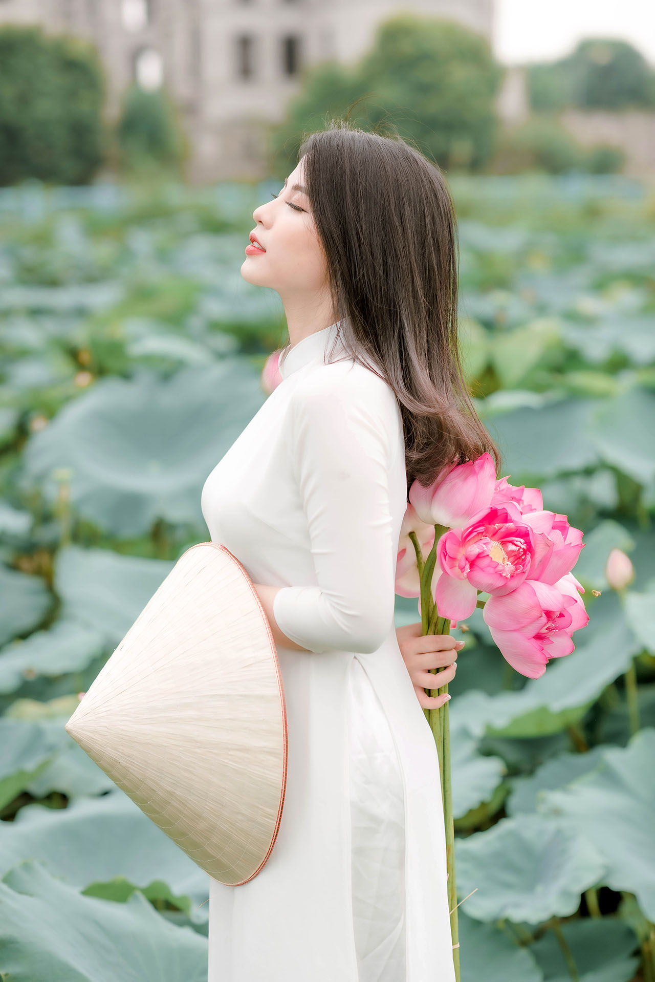 Người đẹp và sen