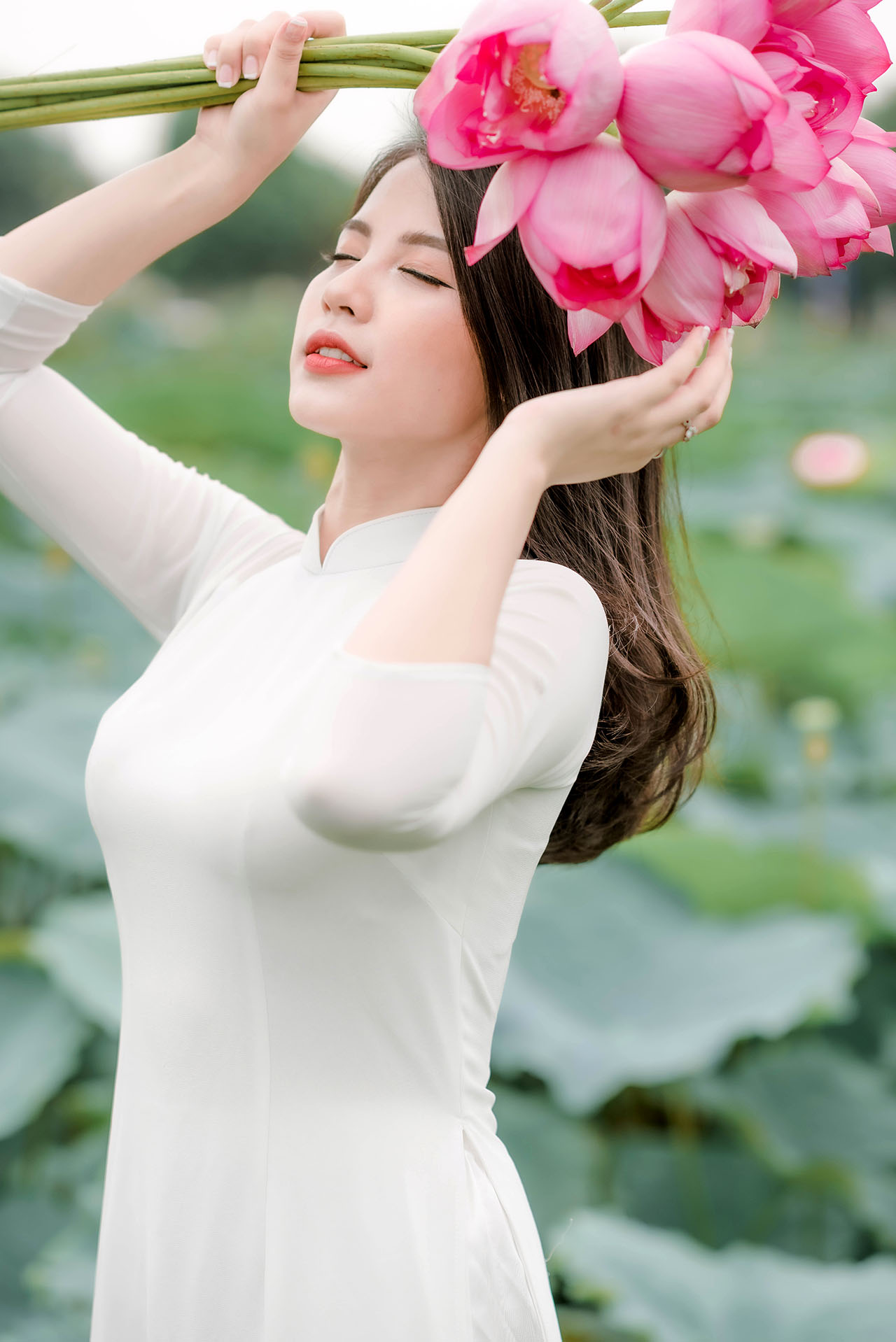 Người đẹp và sen