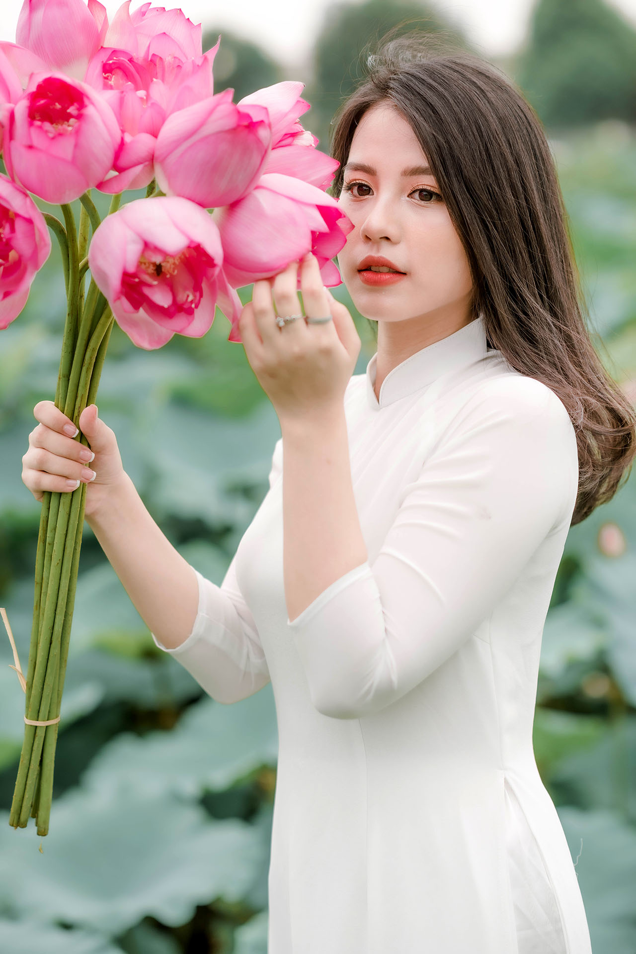 Người đẹp và sen