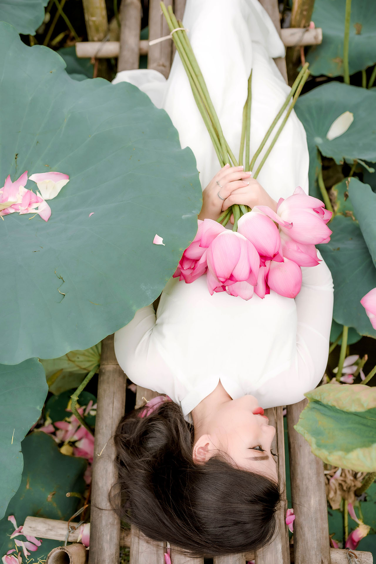 Người đẹp và sen