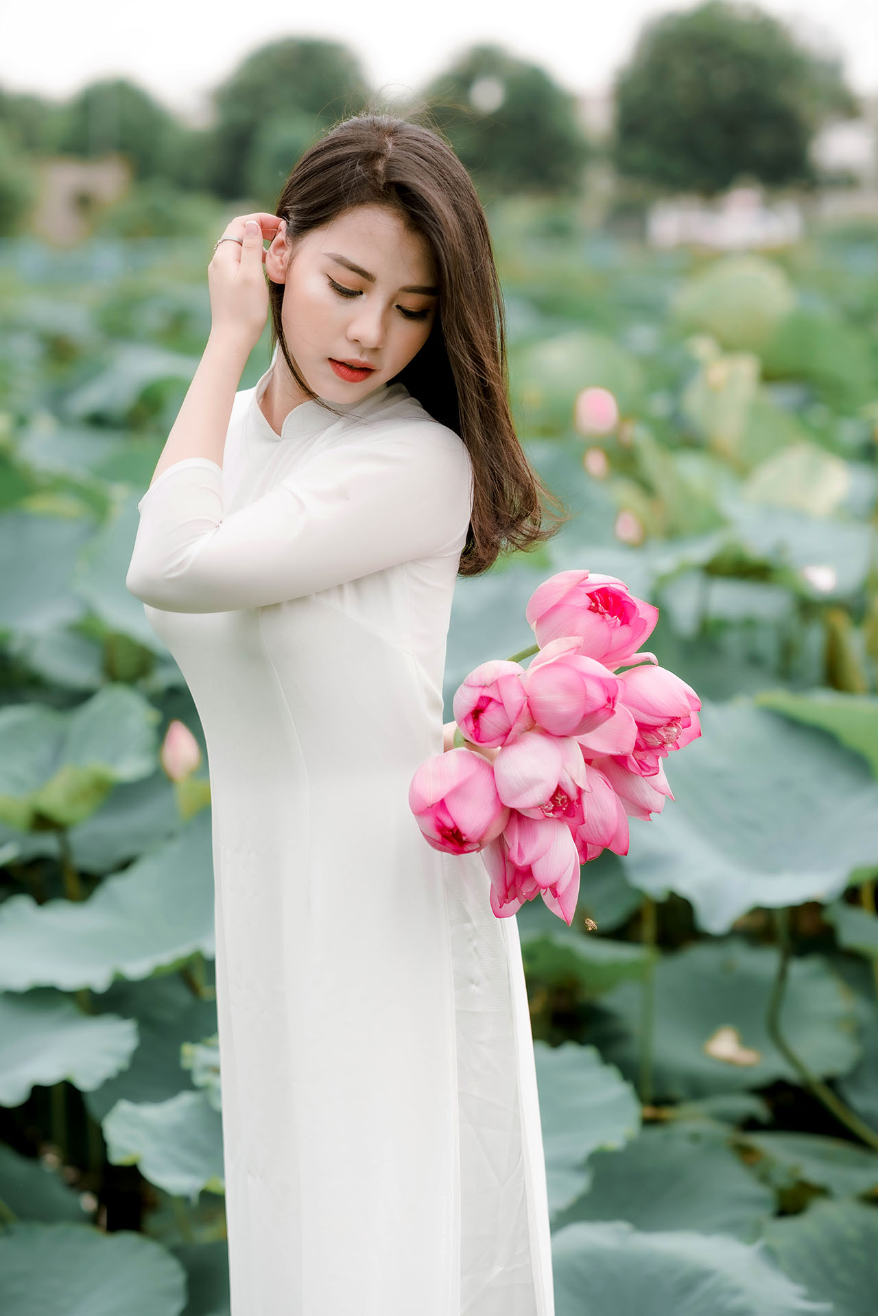 Người đẹp và sen