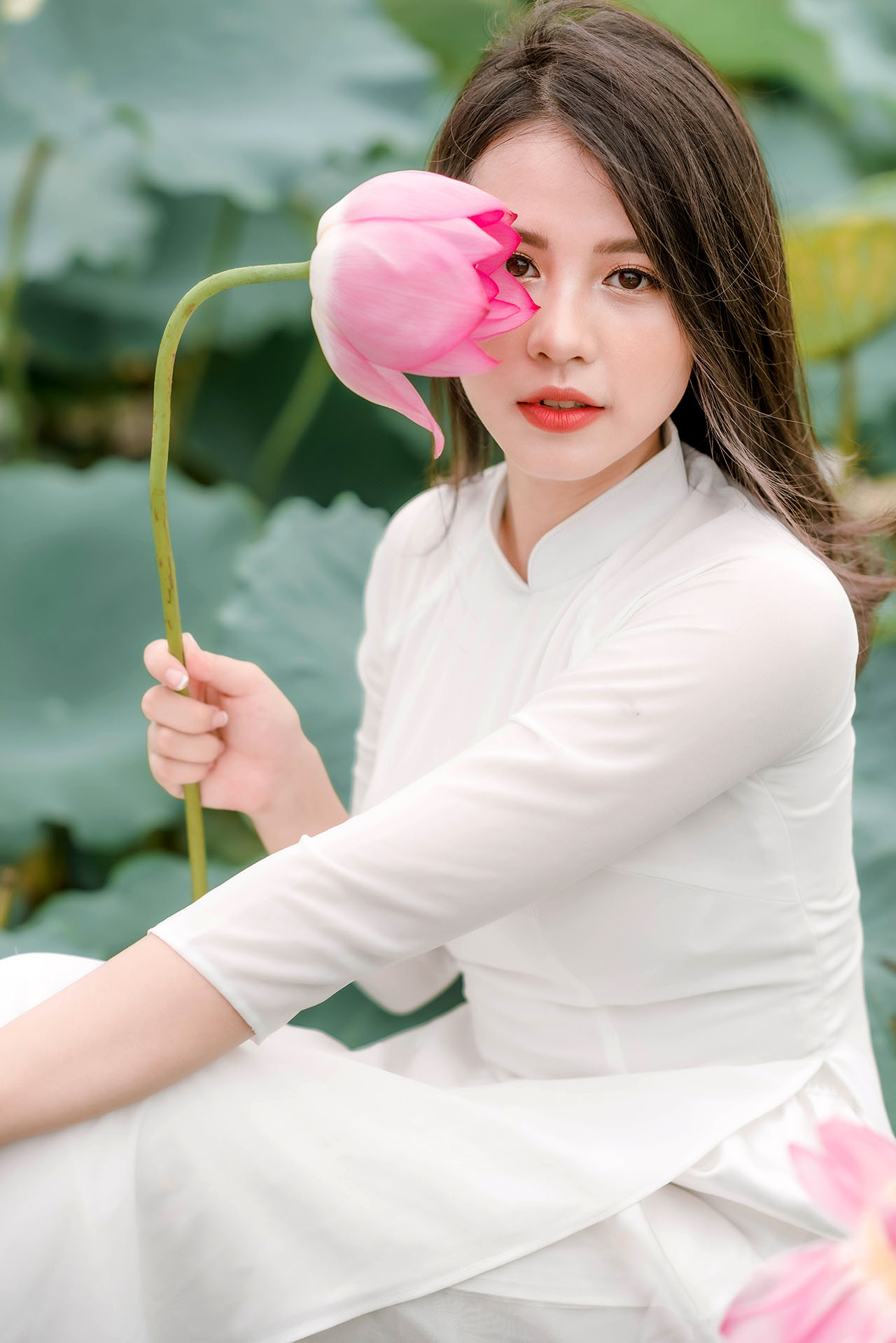 Người đẹp và sen