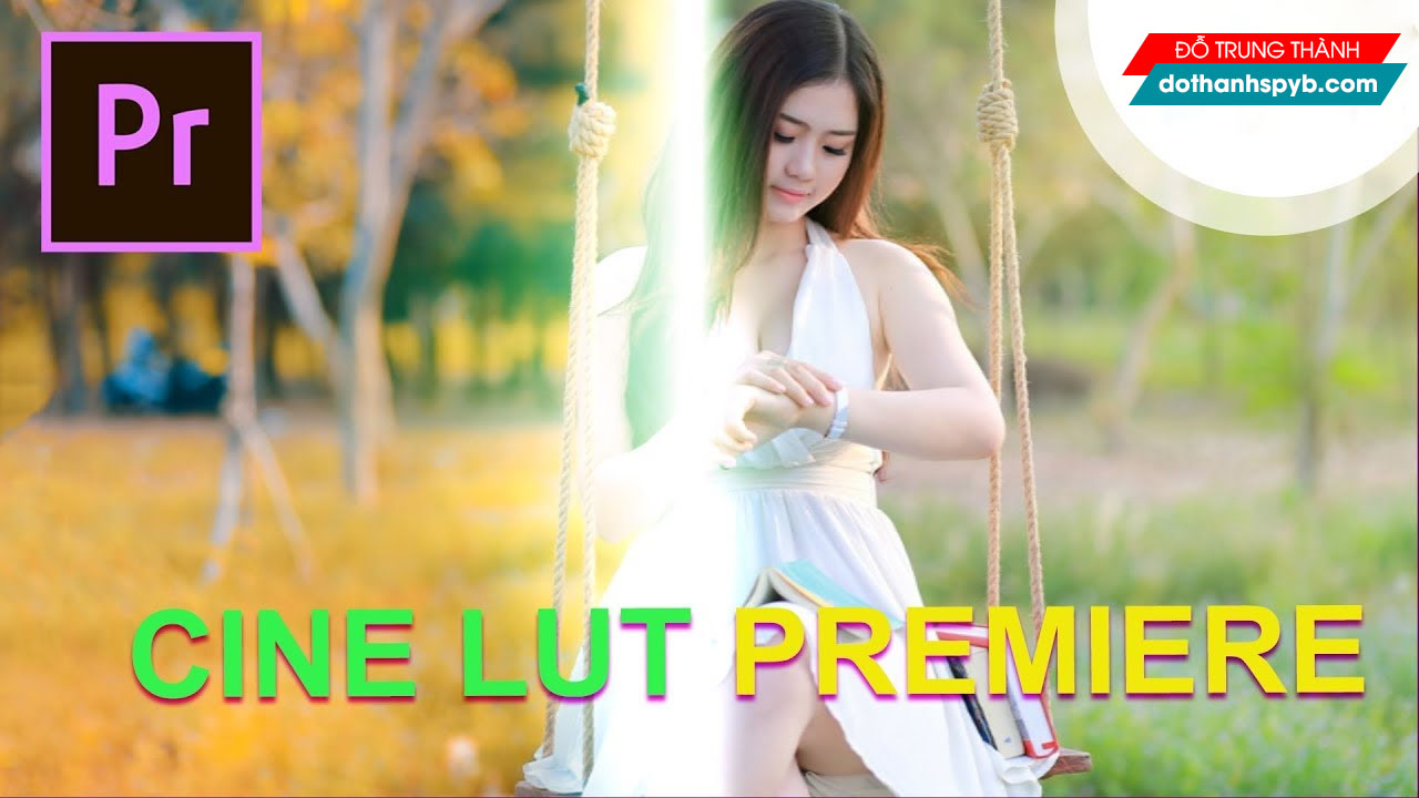 LUTS Premiere Pro
