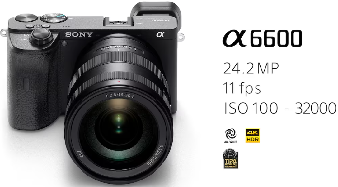 Sony A6600